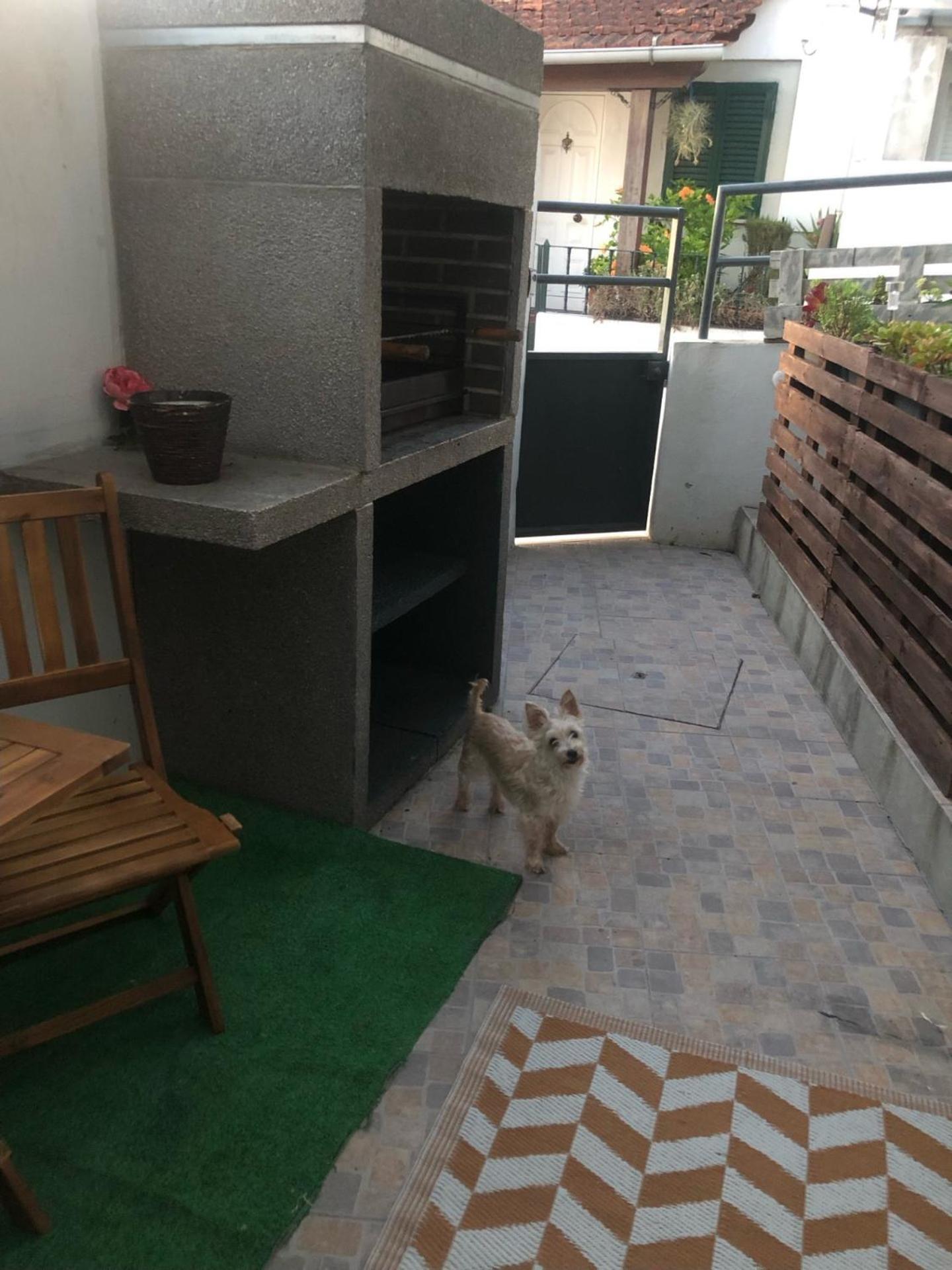 Cantinho Da Susana Coimbra Exterior photo